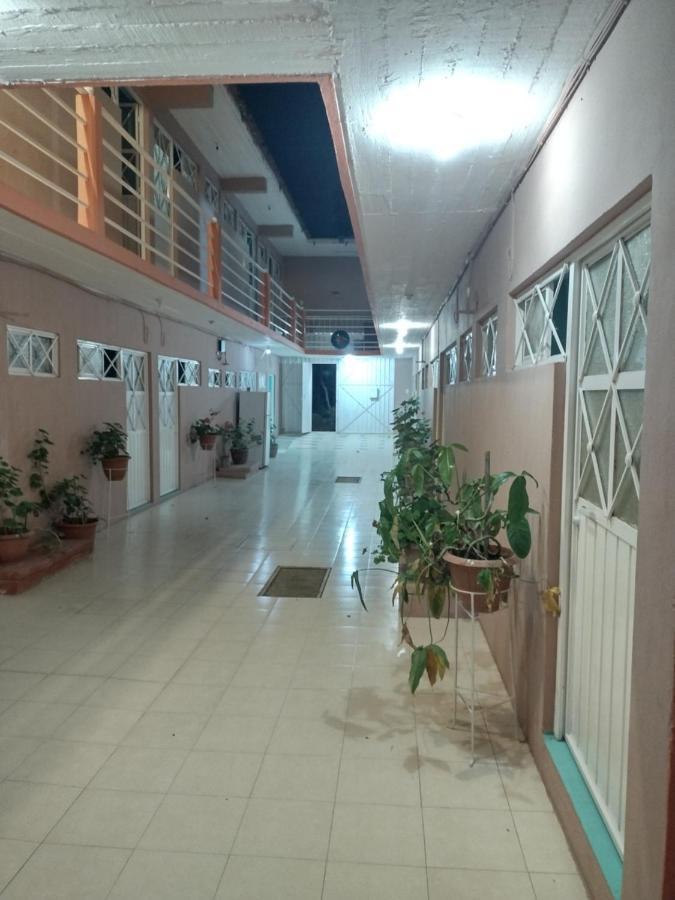 Hostal Eclipse Oaxaca Ngoại thất bức ảnh